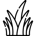 Kulturpflege